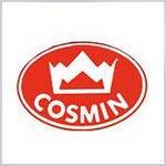 COSMIN