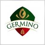 GERMINO